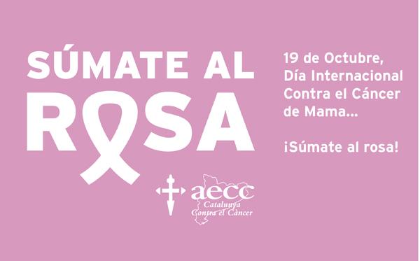 Imagen principal noticia 